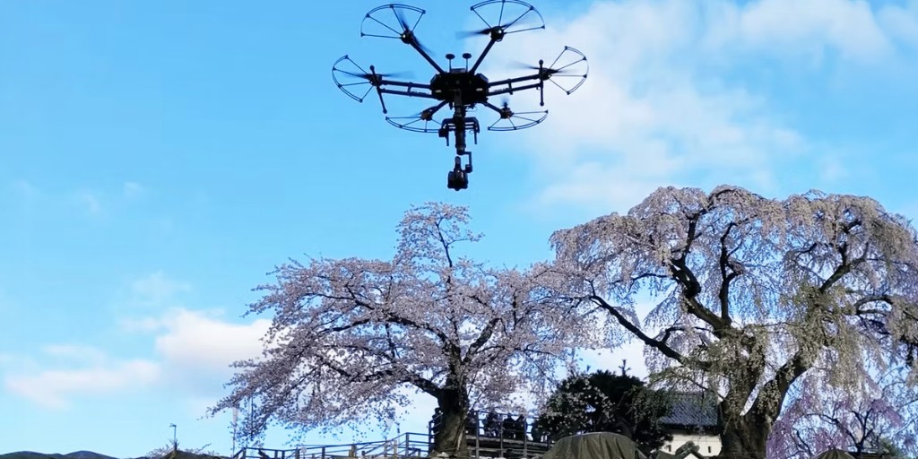 青い森ホール/360°デジタル映像シアター | Works